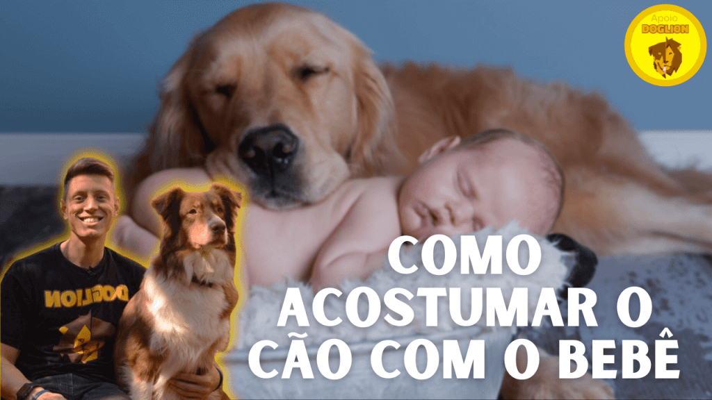 Crianças e seu Primeiro Cão