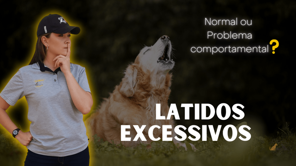 Latidos Excessivos