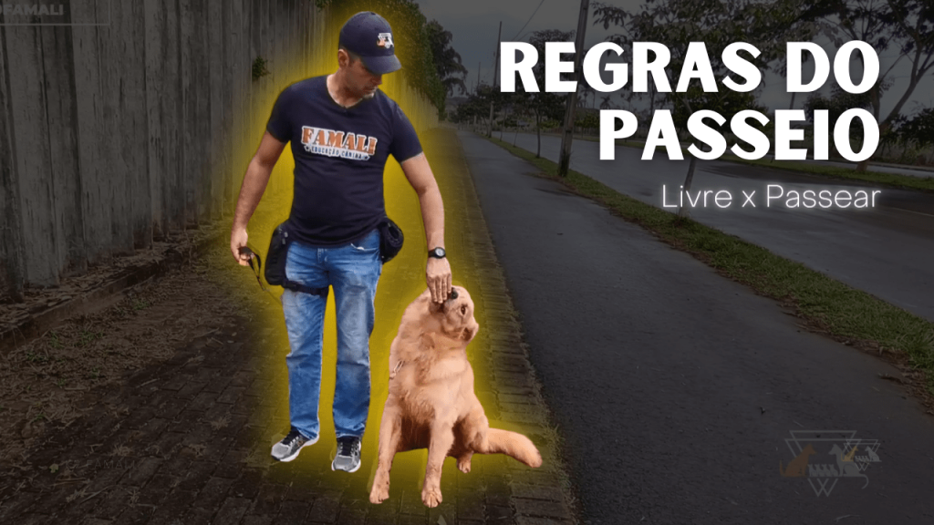 Passeios