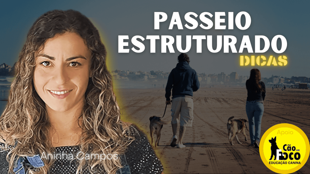 Passeios