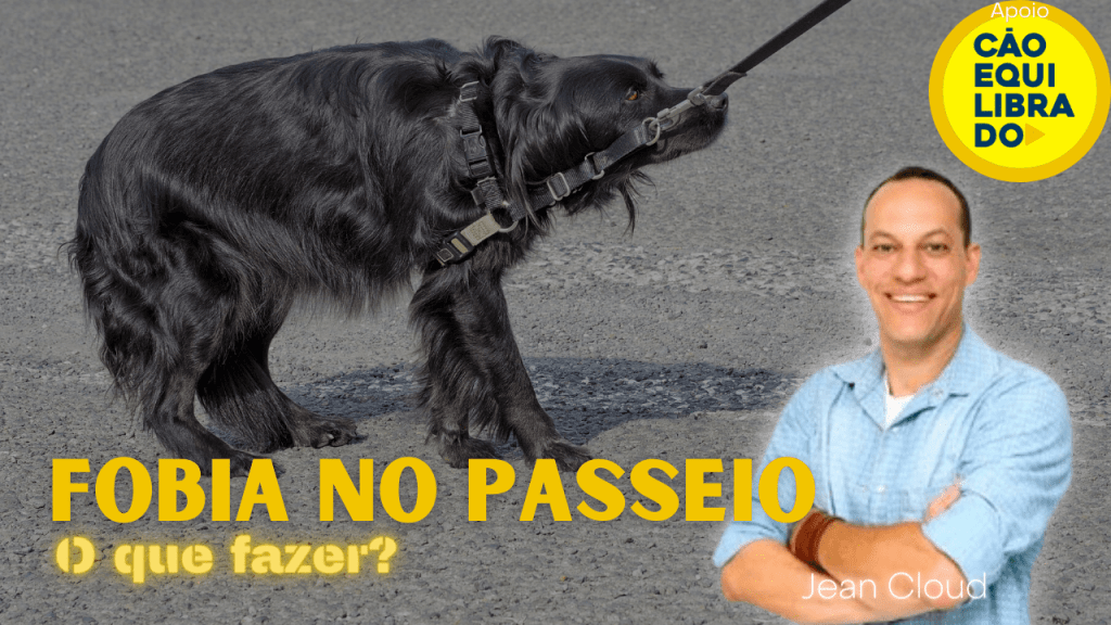 Passeios