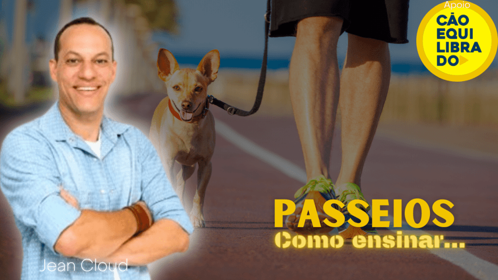 Passeios