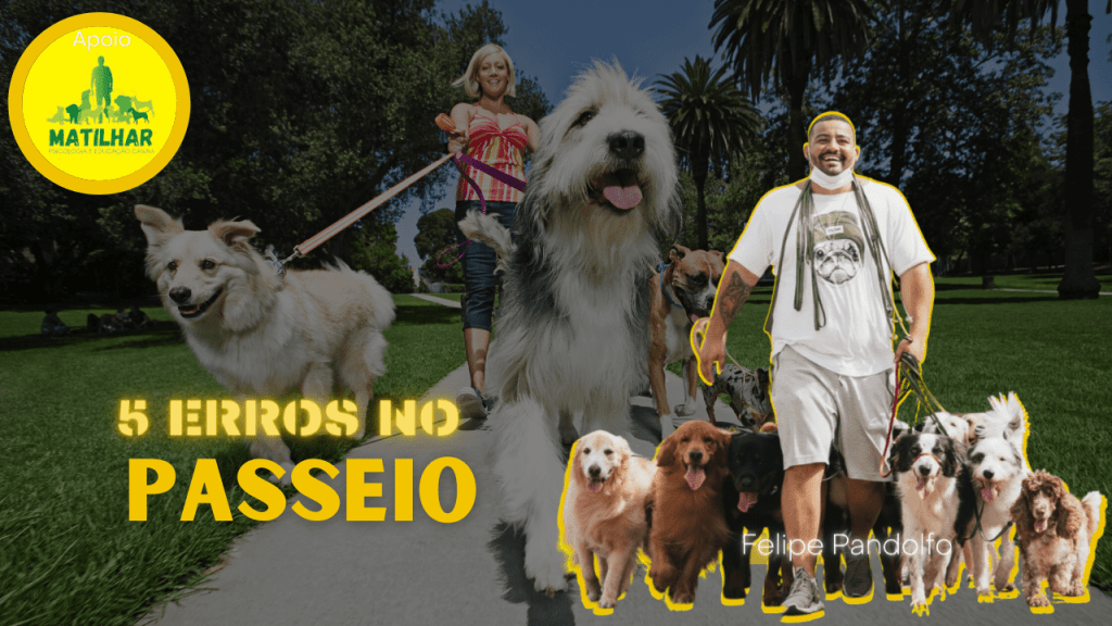 Passeios