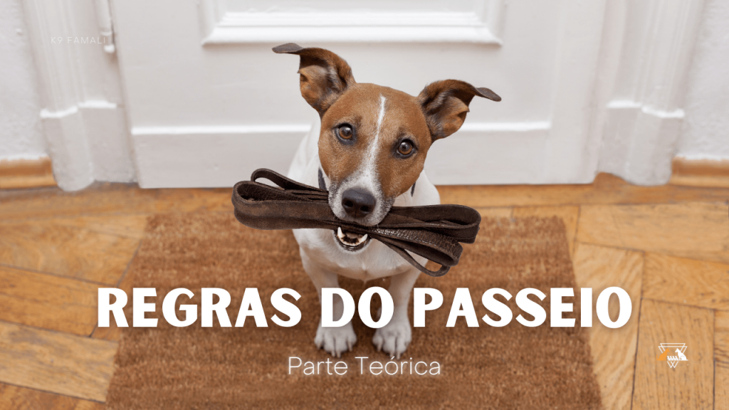 Passeios