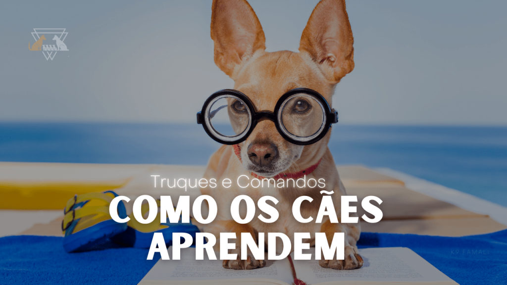 Truques e Comandos