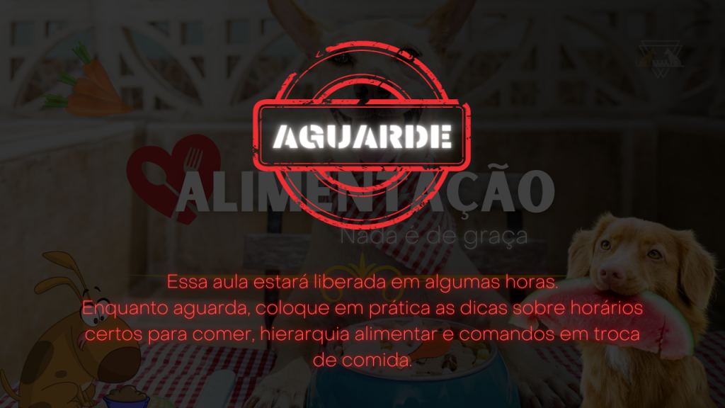 Alimentações