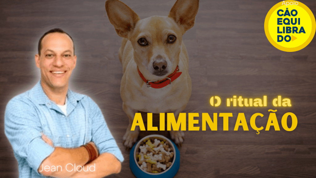 Alimentação