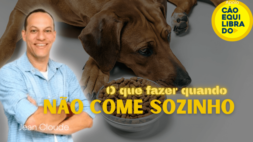 Alimentação