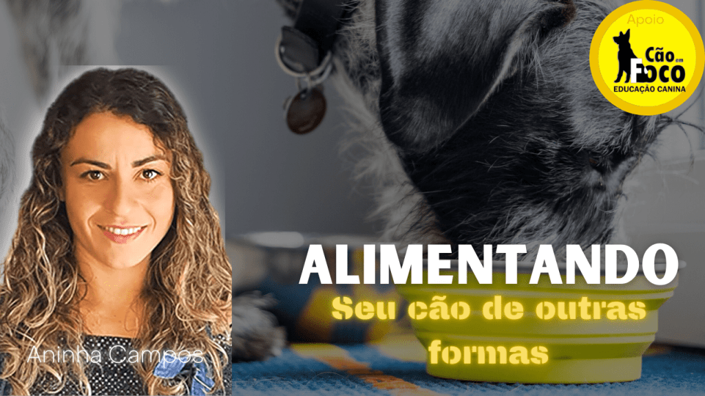 Alimentação