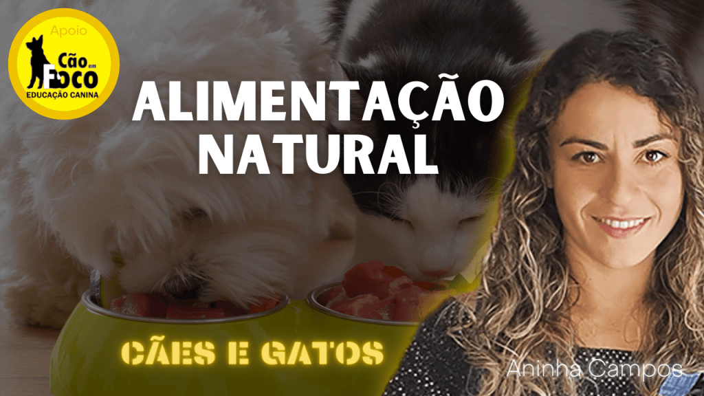 Alimentação