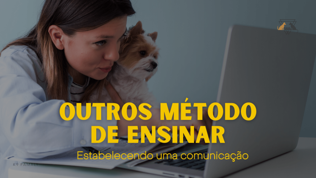 Estabelecendo uma Comunicação