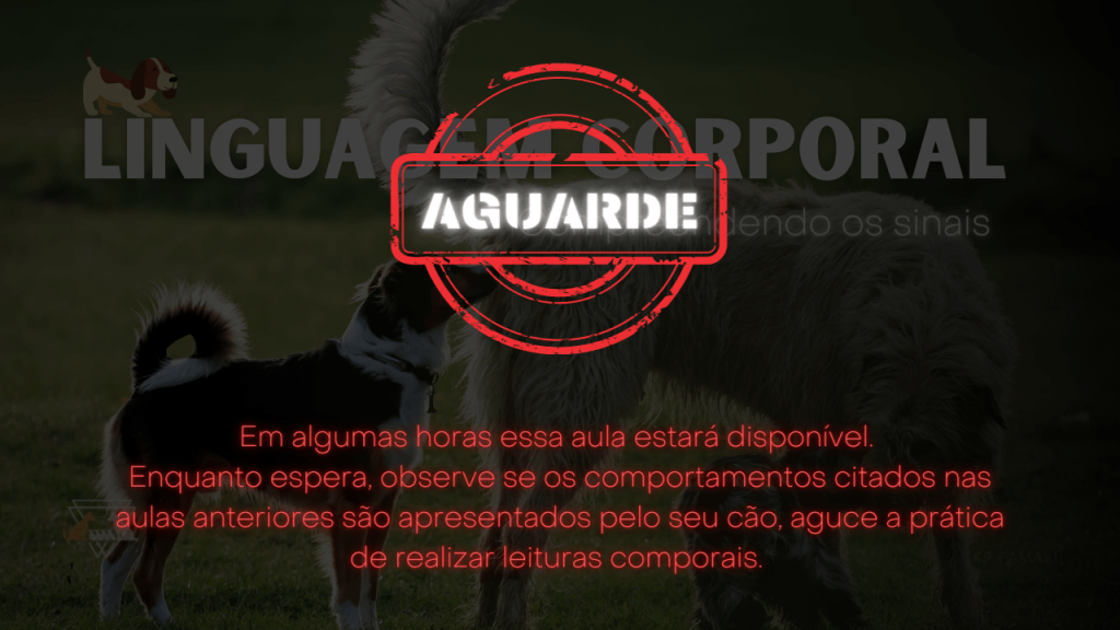 Linguagem corporal dos cães