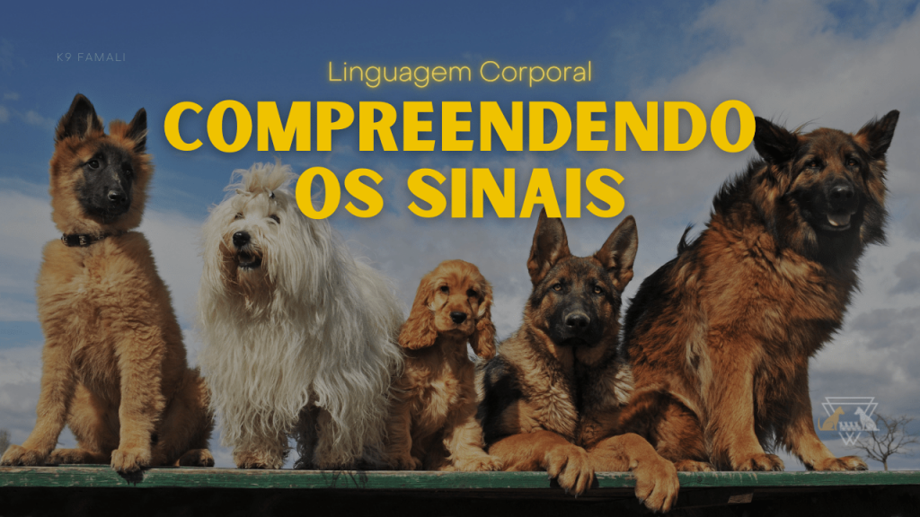 Linguagem corporal dos cães