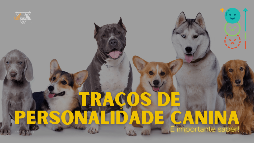 Linguagem corporal dos cães