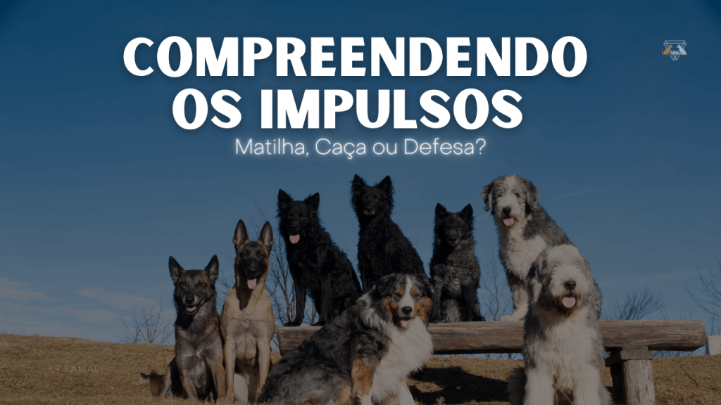 Linguagem corporal dos cães