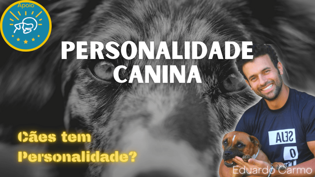 Linguagem Corporal dos Cães