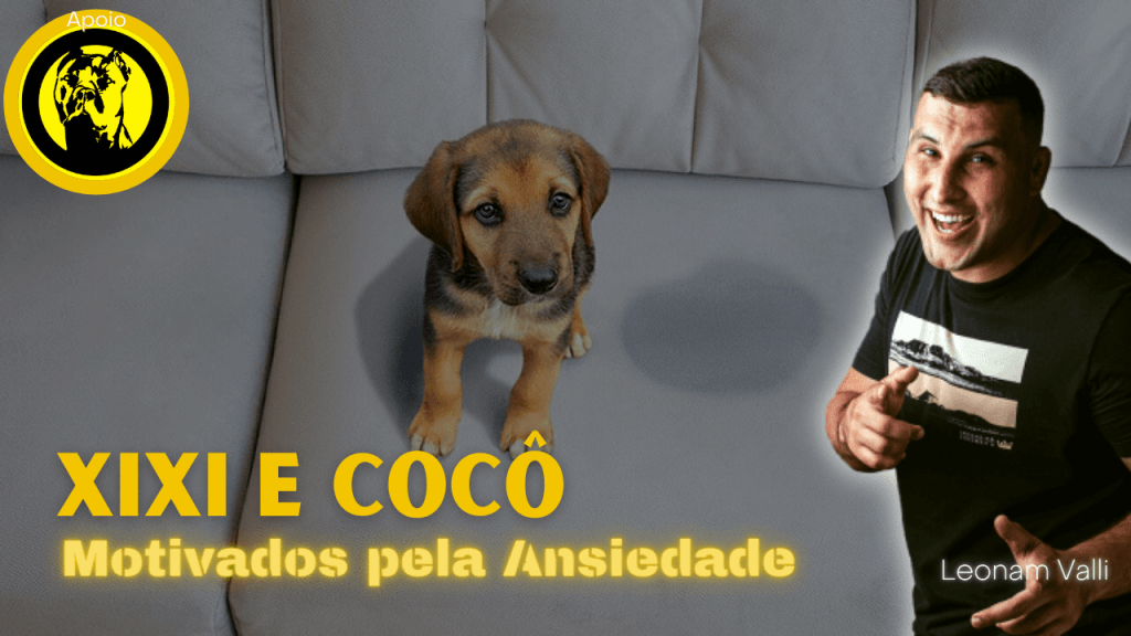 Cocô e Xixi