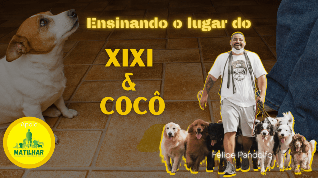 Cocô e Xixi